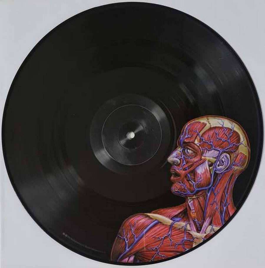 Tool – Lateralus 2LP (Picture Disc) - Купить виниловую пластинку
