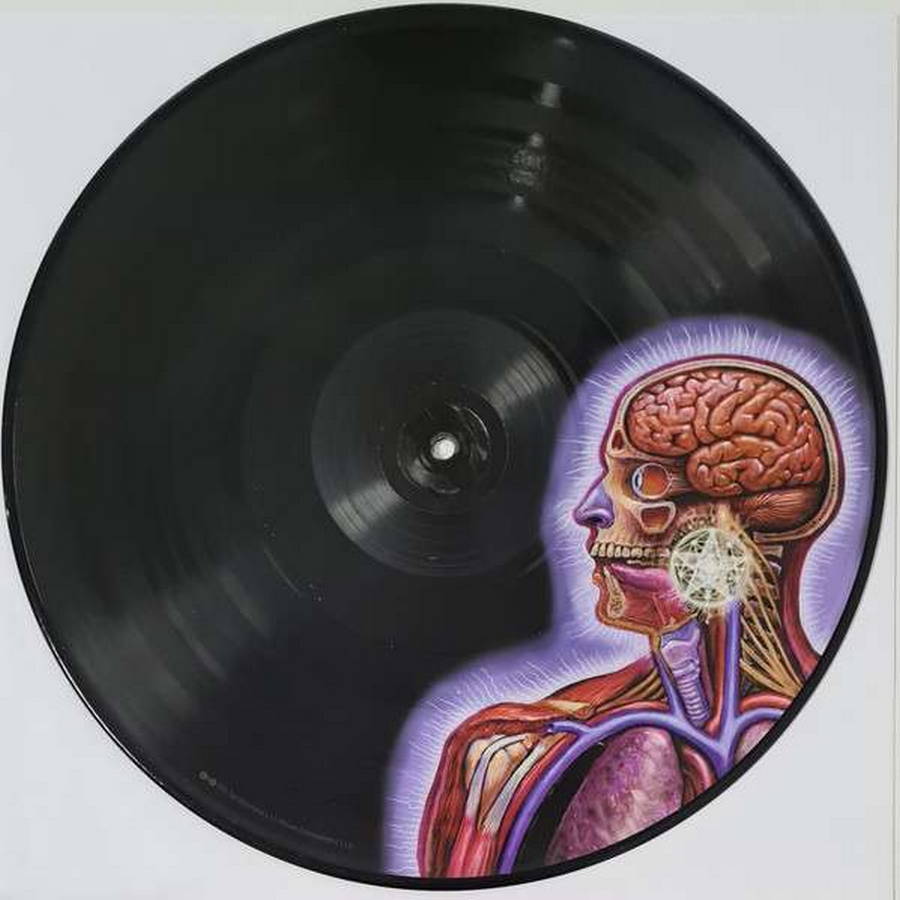 Tool – Lateralus 2LP (Picture Disc) - Купить виниловую пластинку